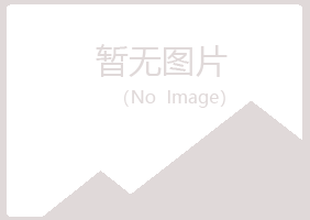 清河区晓夏建设有限公司